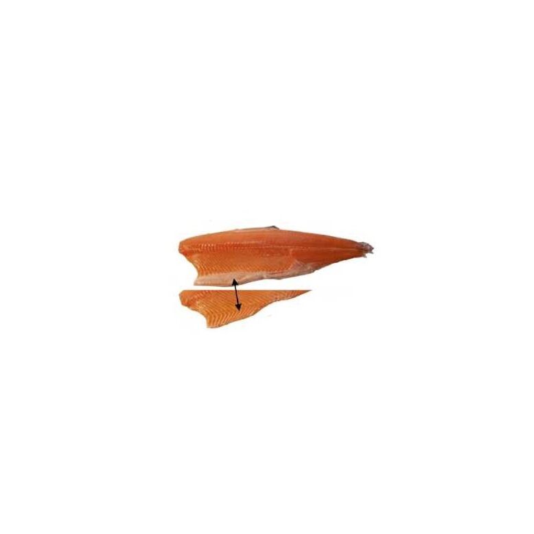 Филетировочная машина FR-9000 Uni-Food Technic-3